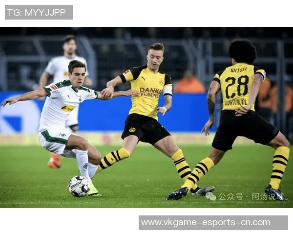 德甲激战：本菲卡凭红牌争议战胜多特蒙德全场数据解析